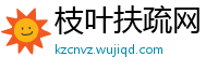 枝叶扶疏网